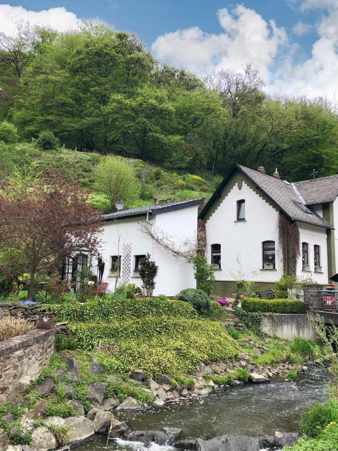 Villa BrexHäuschen - Urlaub im Grünen Höhr-Grenzhausen Exterior foto