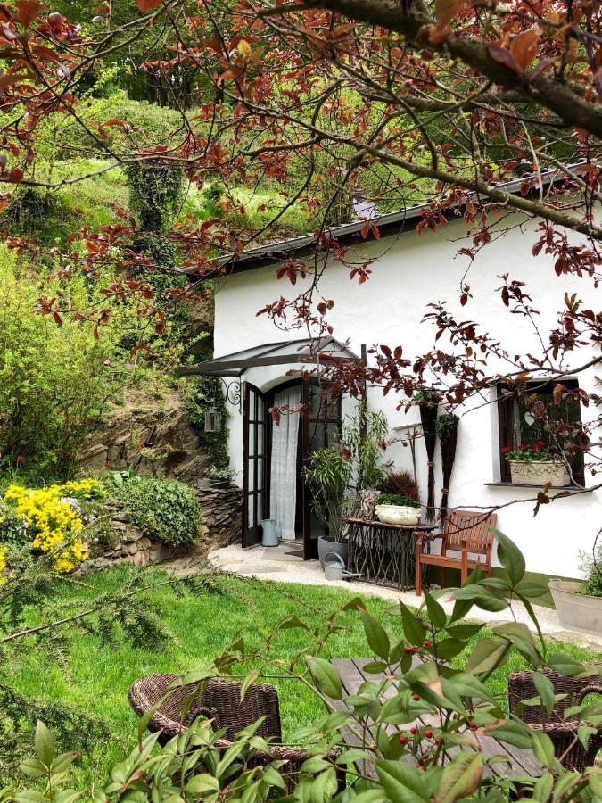 Villa BrexHäuschen - Urlaub im Grünen Höhr-Grenzhausen Exterior foto