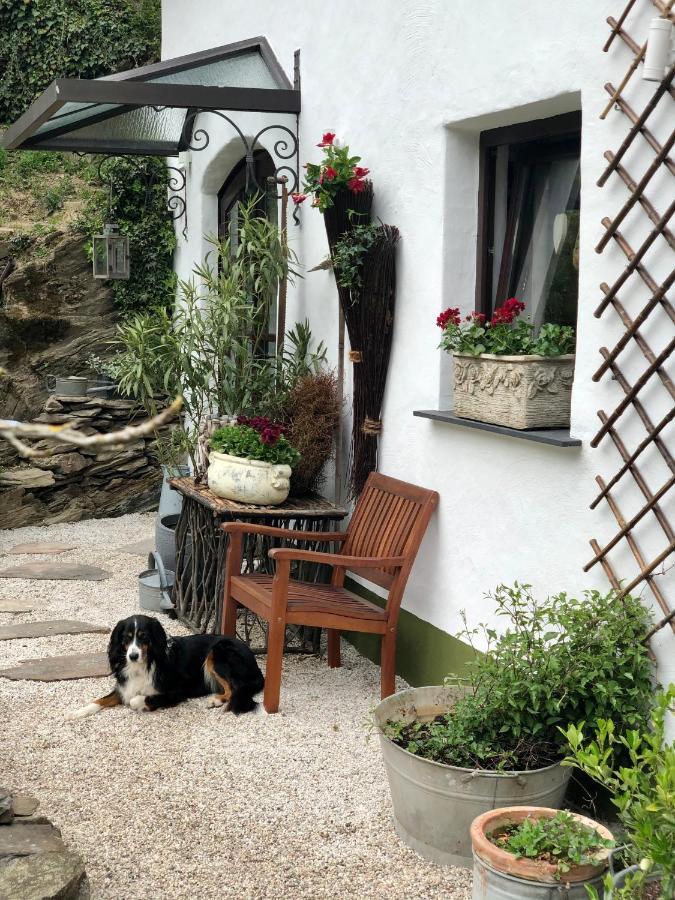 Villa BrexHäuschen - Urlaub im Grünen Höhr-Grenzhausen Exterior foto